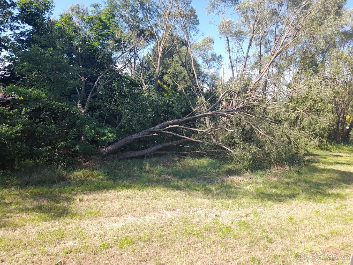 Palivové dřevo - 2