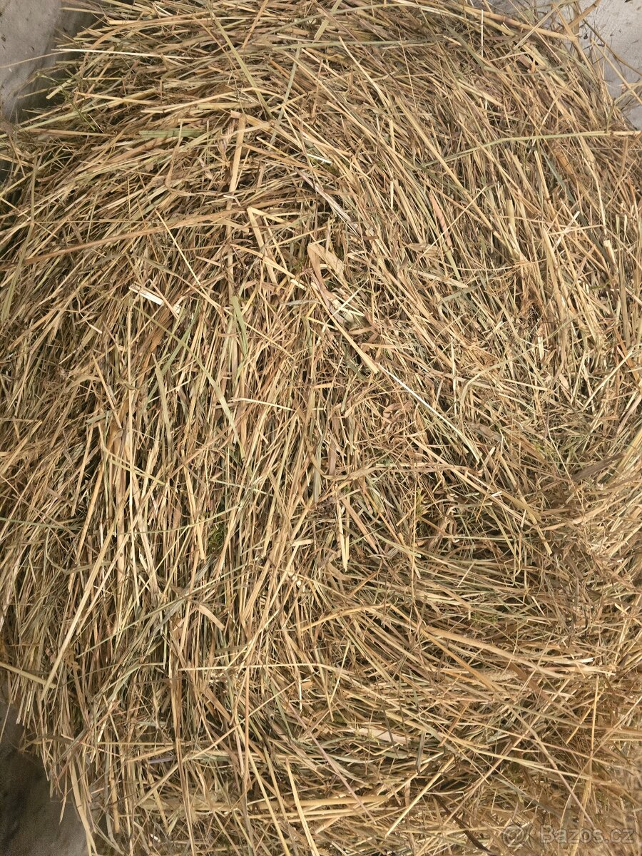 Krásné zelené seno - 2