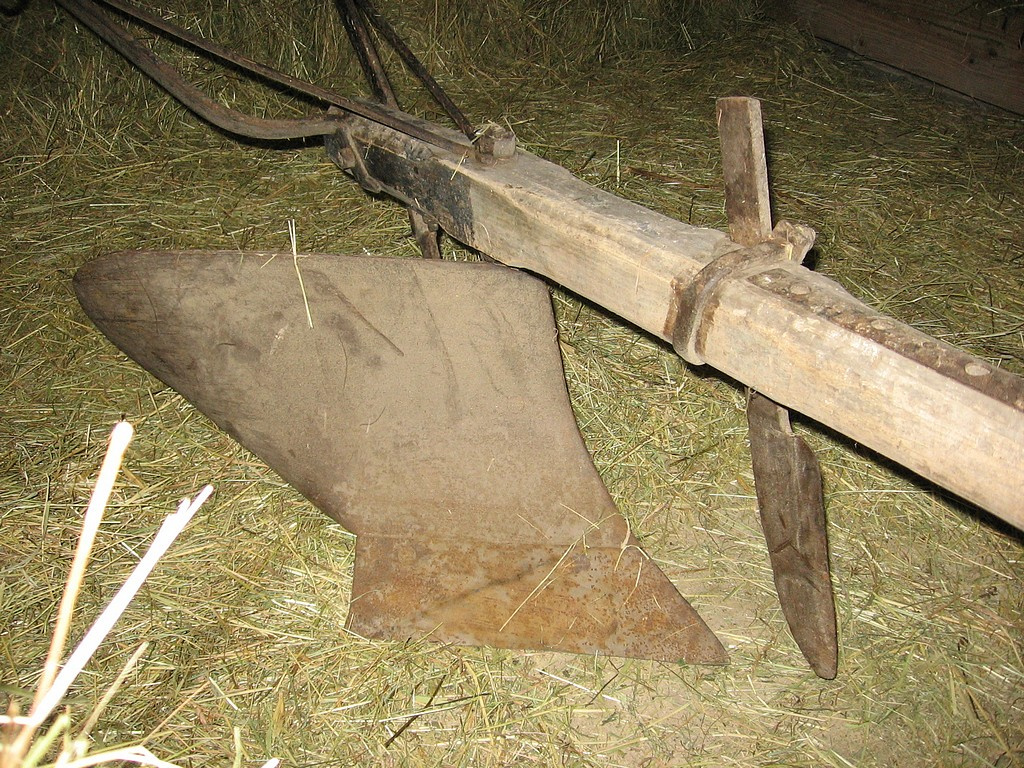 Pluh-koňský - 2