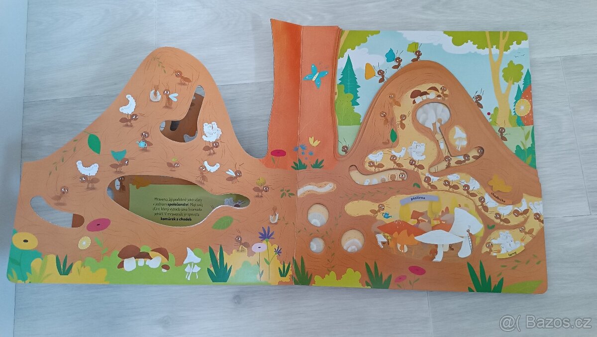 Co se děje v mraveništi - 2