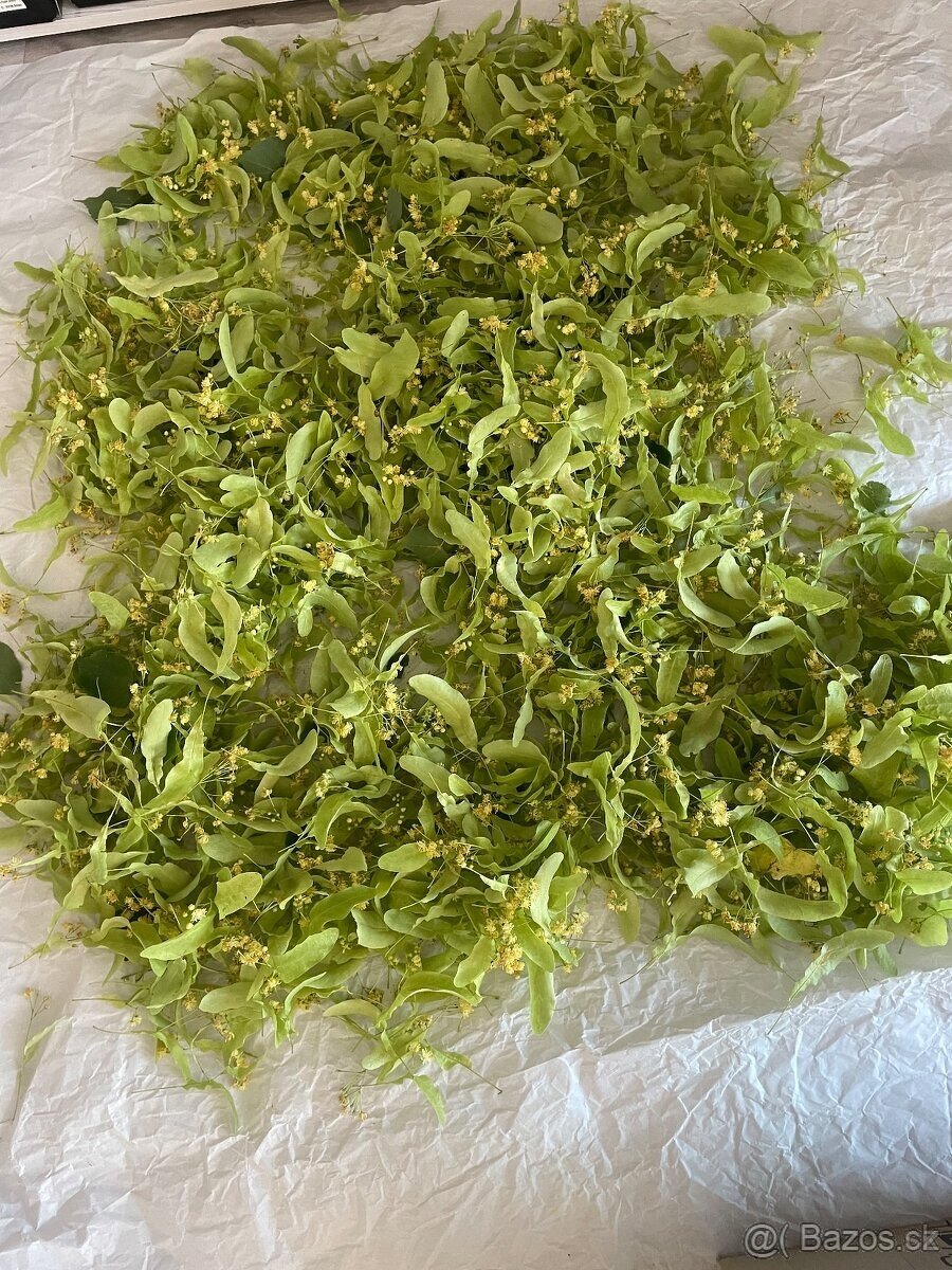 Sušené šípky.....a jiné bylinky.....prodám - 2