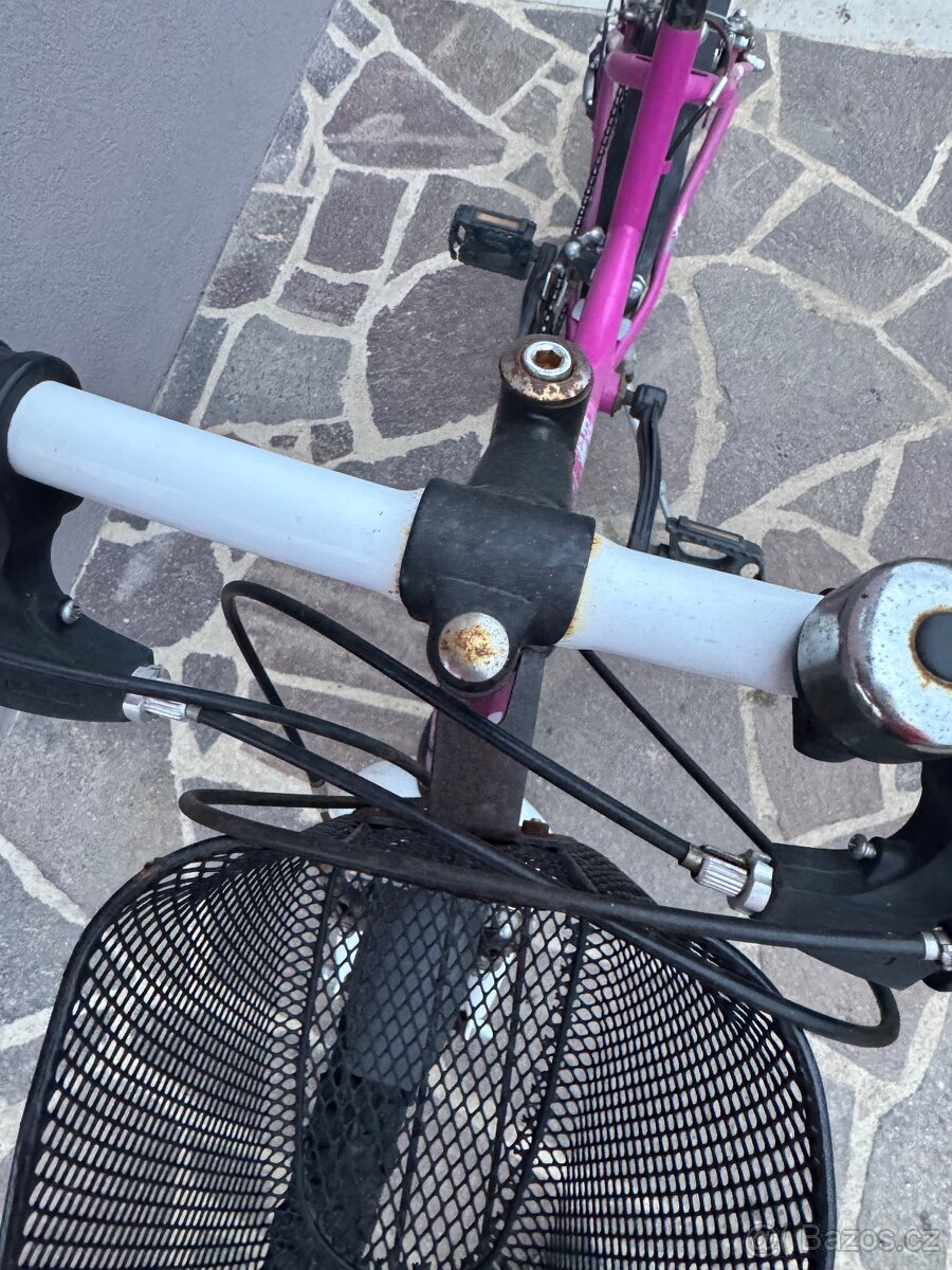 Dívčí kolo 24 - 2