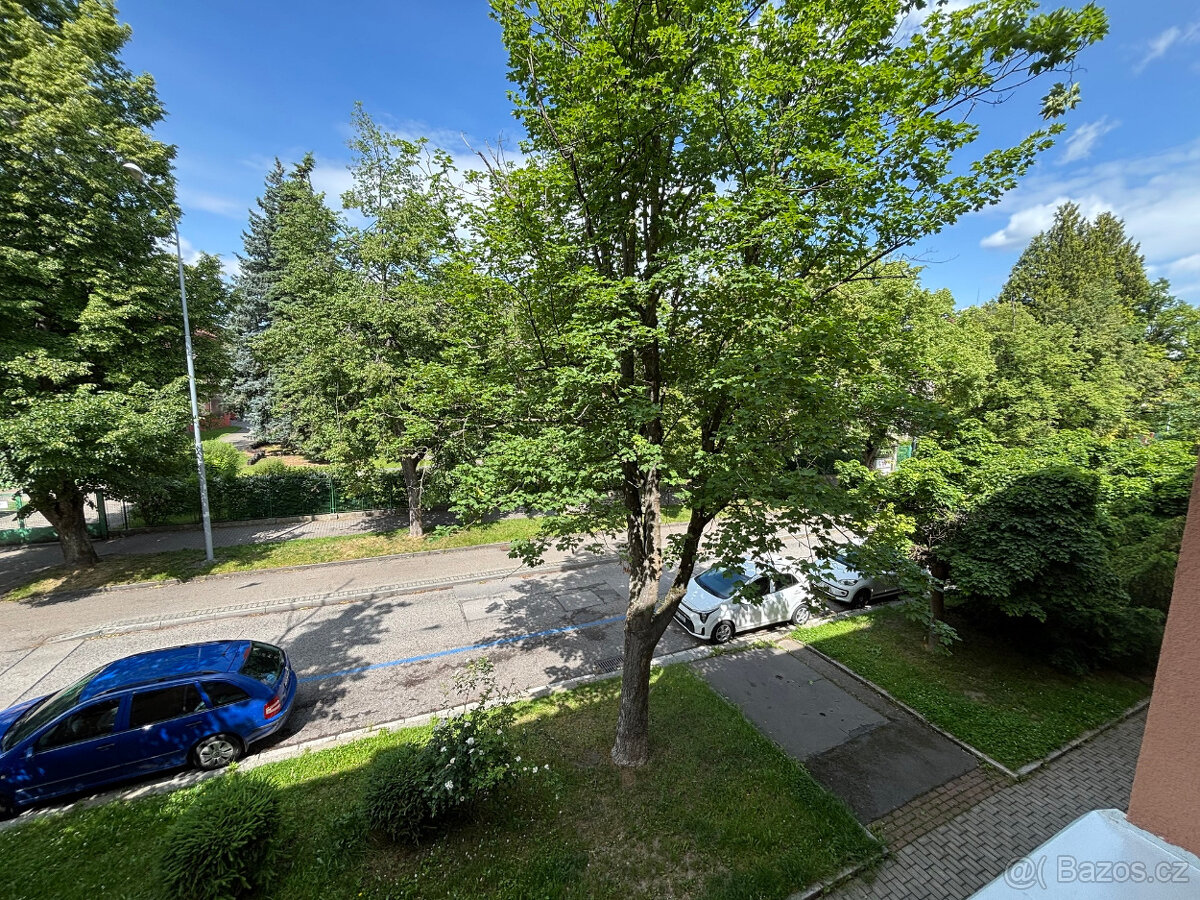 Prodej zděného bytu 2+1 v osob. vl. Neplachova ul. - 2