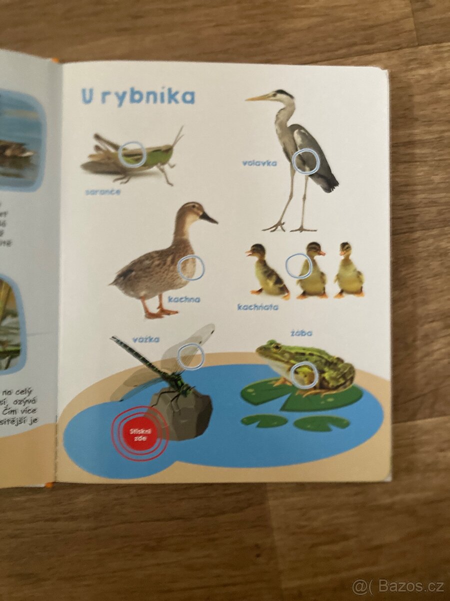 Moje velká kniha ZVUKY JARA - 2