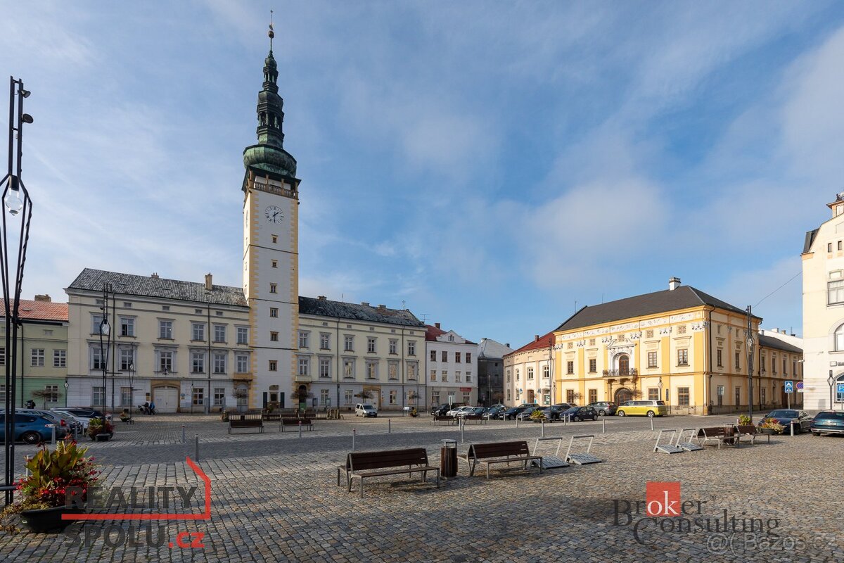 Prodej, komerční/činžovní dům, 901 m2, Masarykova 769/2, 784 - 2