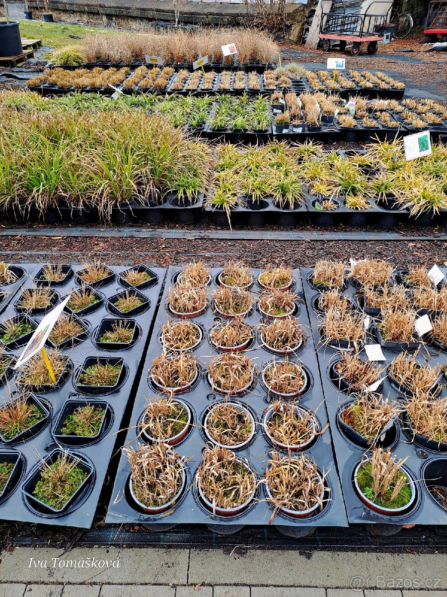 Podložky pro rostliny - 2