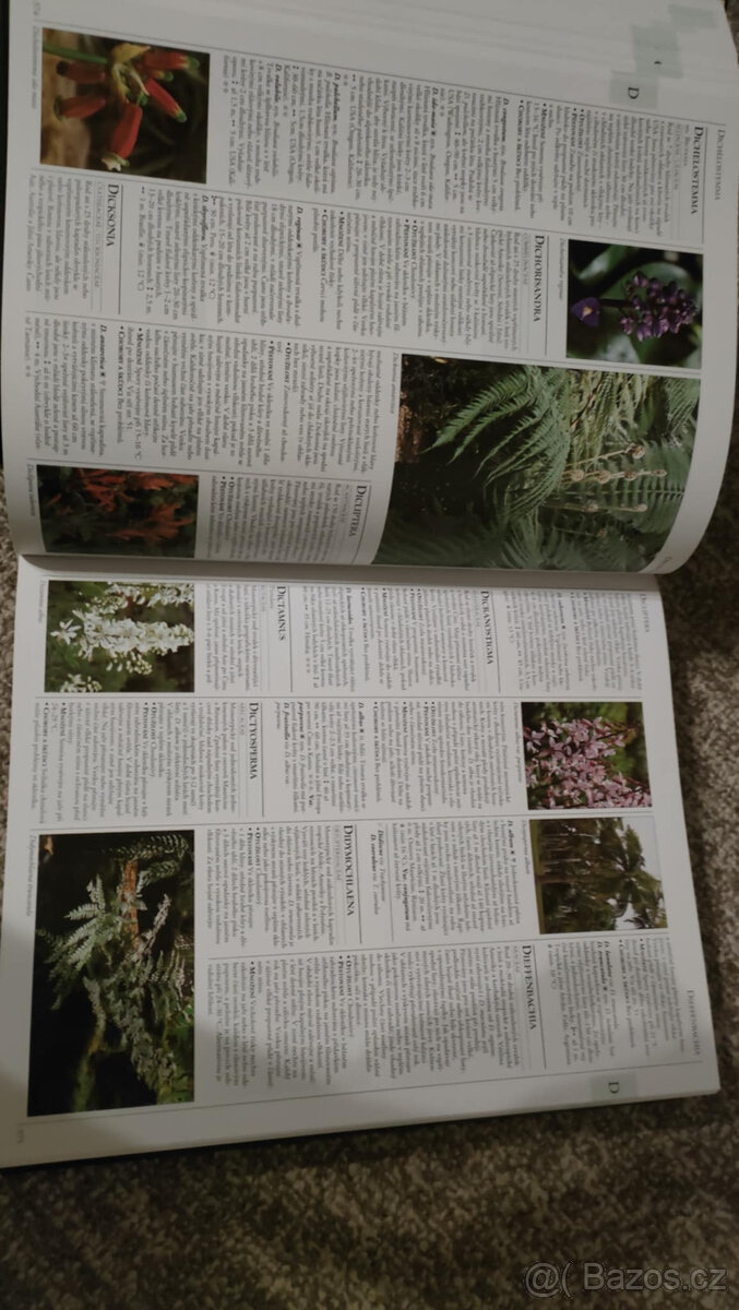 A–Z Encyklopedie zahradních rostlin - 2