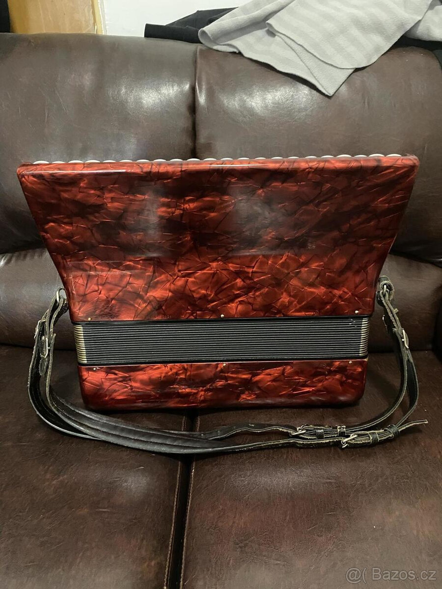 Delicia Carmen IV - 2