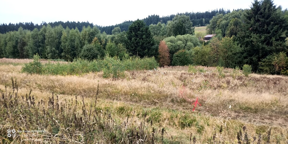 Prodej pozemku v k.ú. Mikuleč - 2