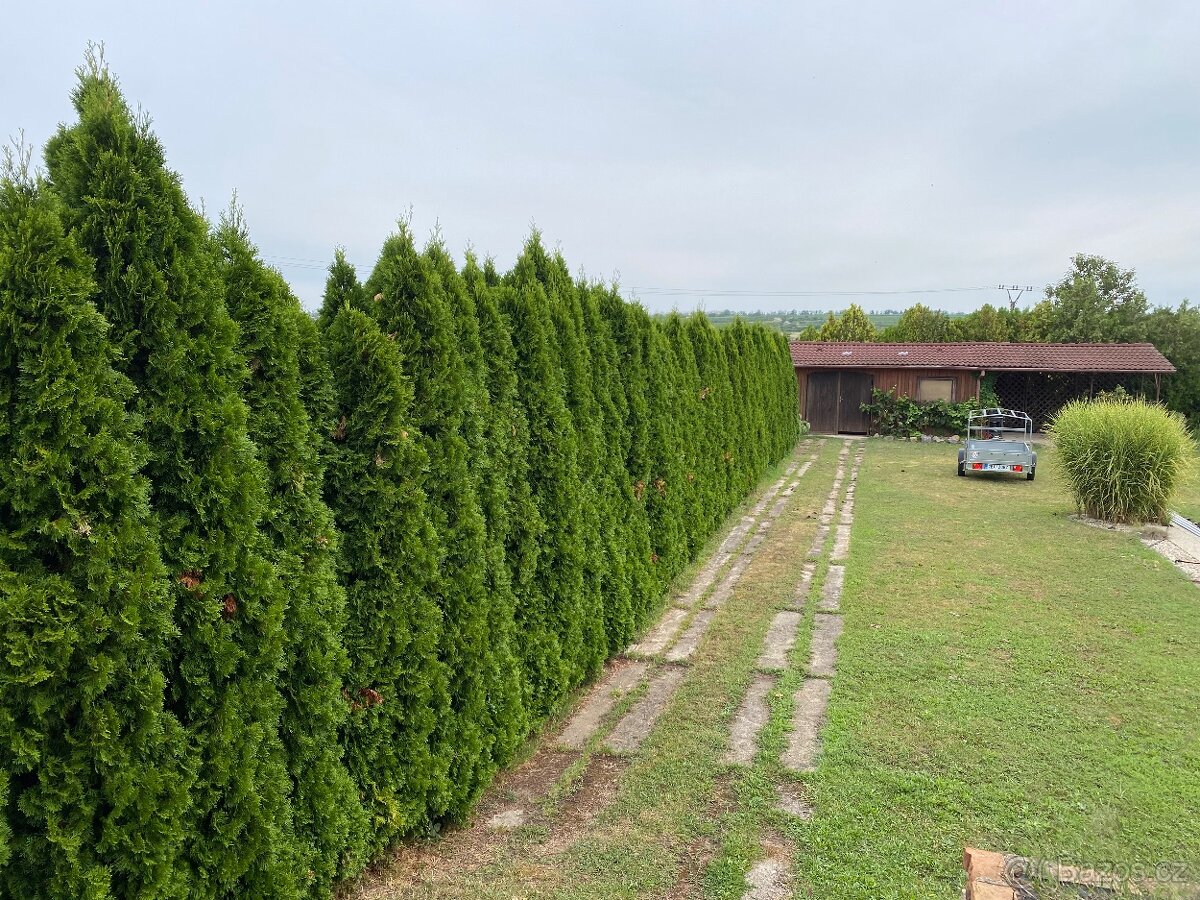 Realizace a údržba zahrad a veřejné zeleně - 2