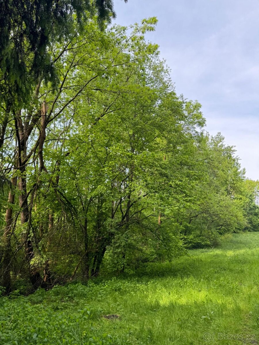 Prodám pozemky v katastrálním území Český Dub - 2