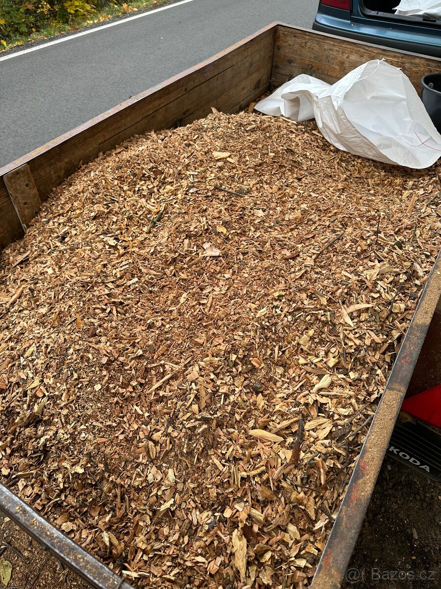 Dřevní Stepka-Švestka - 2