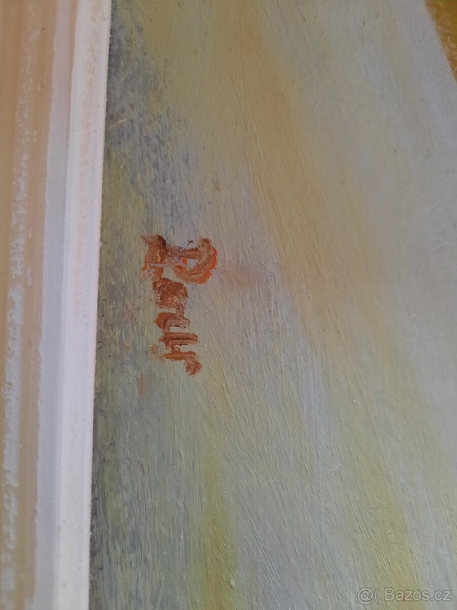 Obraz vlčí máky - 2