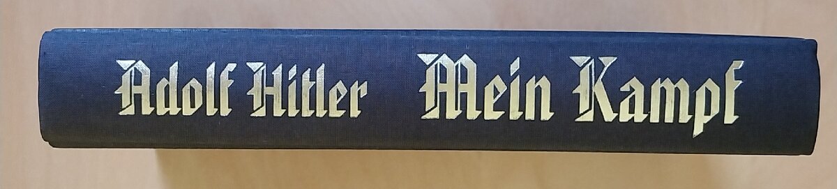 Mein Kampf - 2