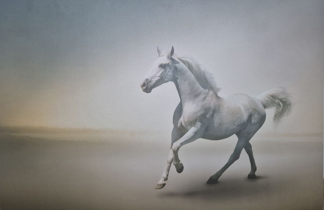 OBRAZ- PLÁTNO S KONĚM - 2