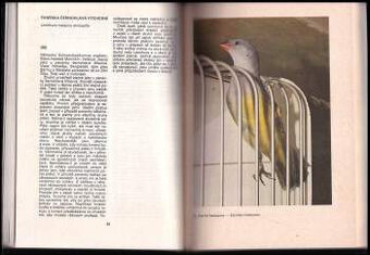 Chováme exotické ptactvo - 2