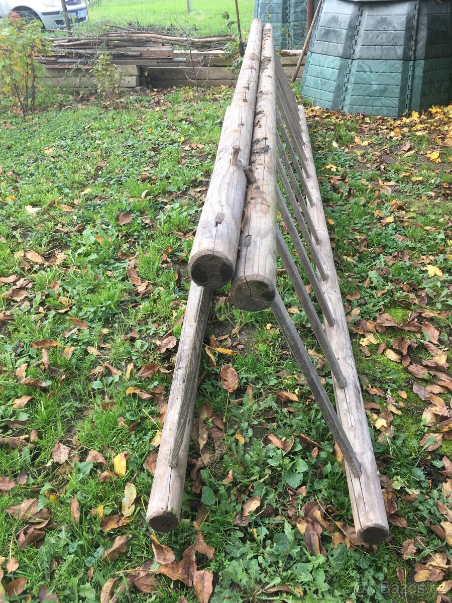 Žebřiňák bočnice - 2