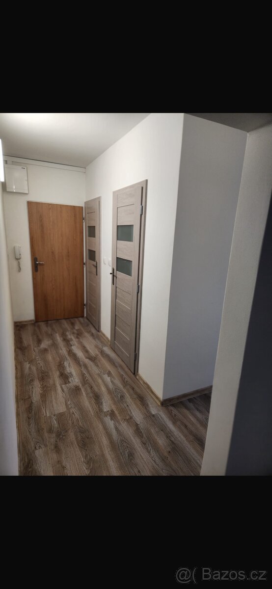 Pronájem bytu 2+1 Opava - 2