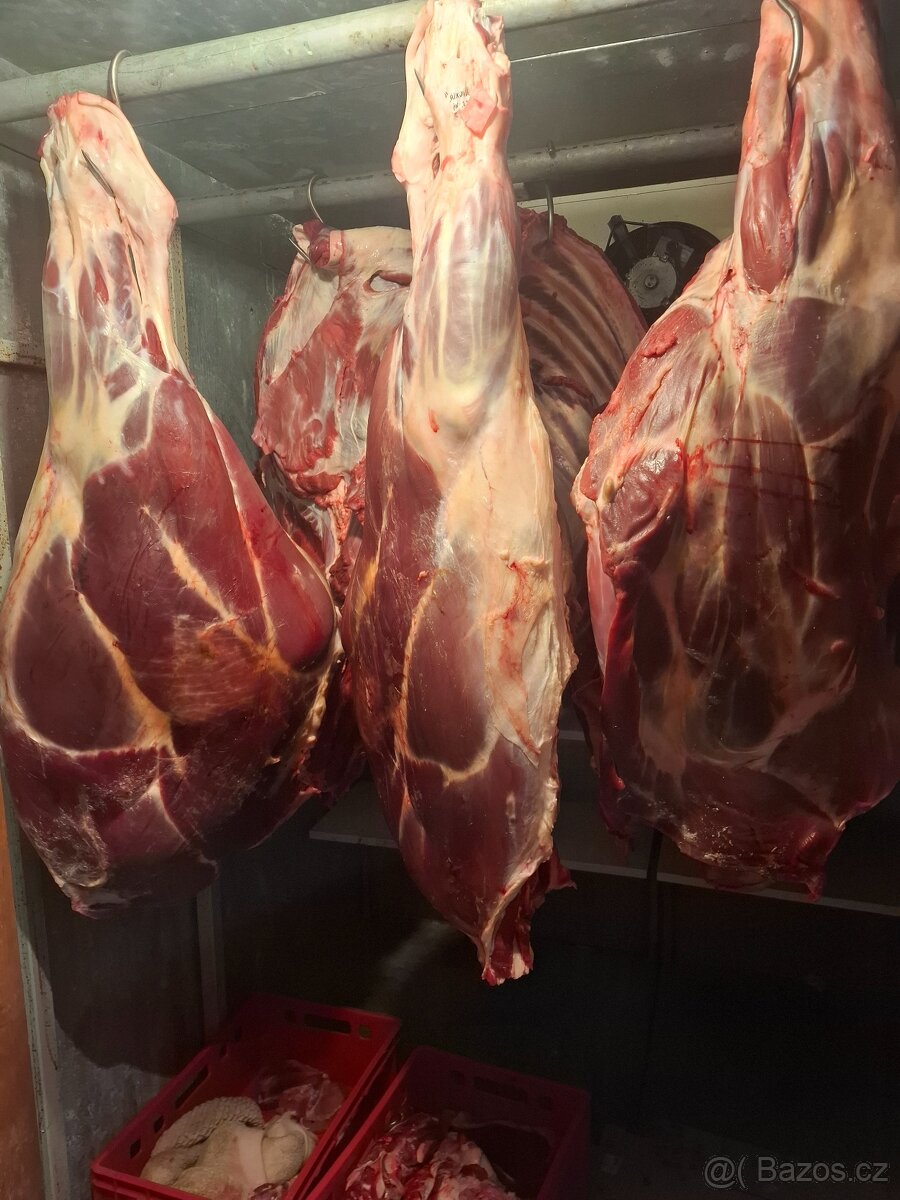 Hovezi maso - 2