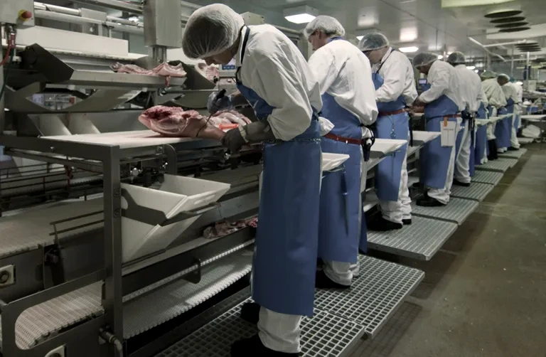 přijmeme ihned dělnice/dělníky do Jatek+Masokombinátů - 2