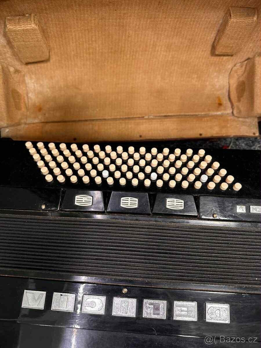 Delicia Carmen V - 2