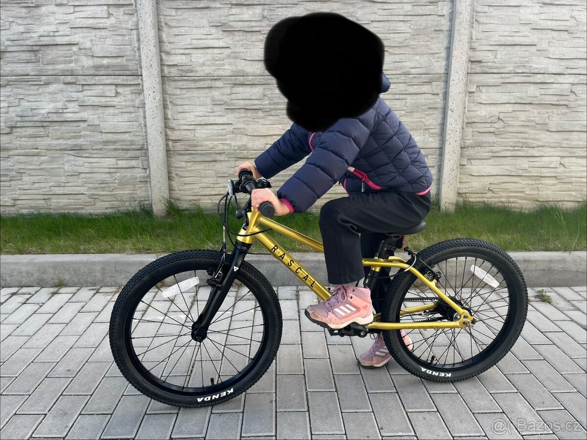 Dětské odlehčené kolo Rascal 20 - 2