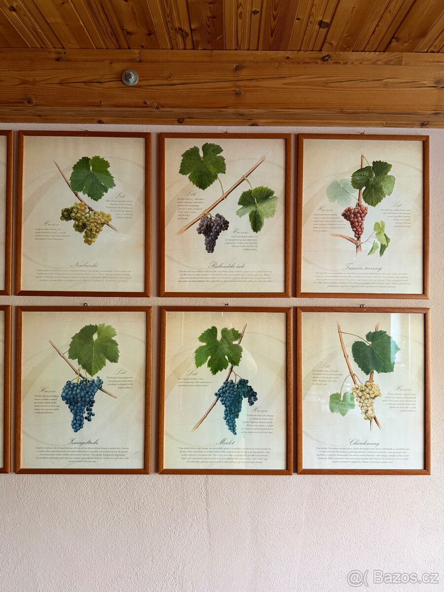 Obraz s vinařskou tematikou - 2