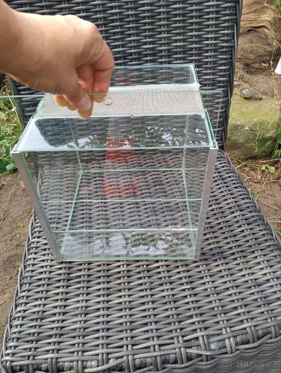 Terárium 25cm - 2