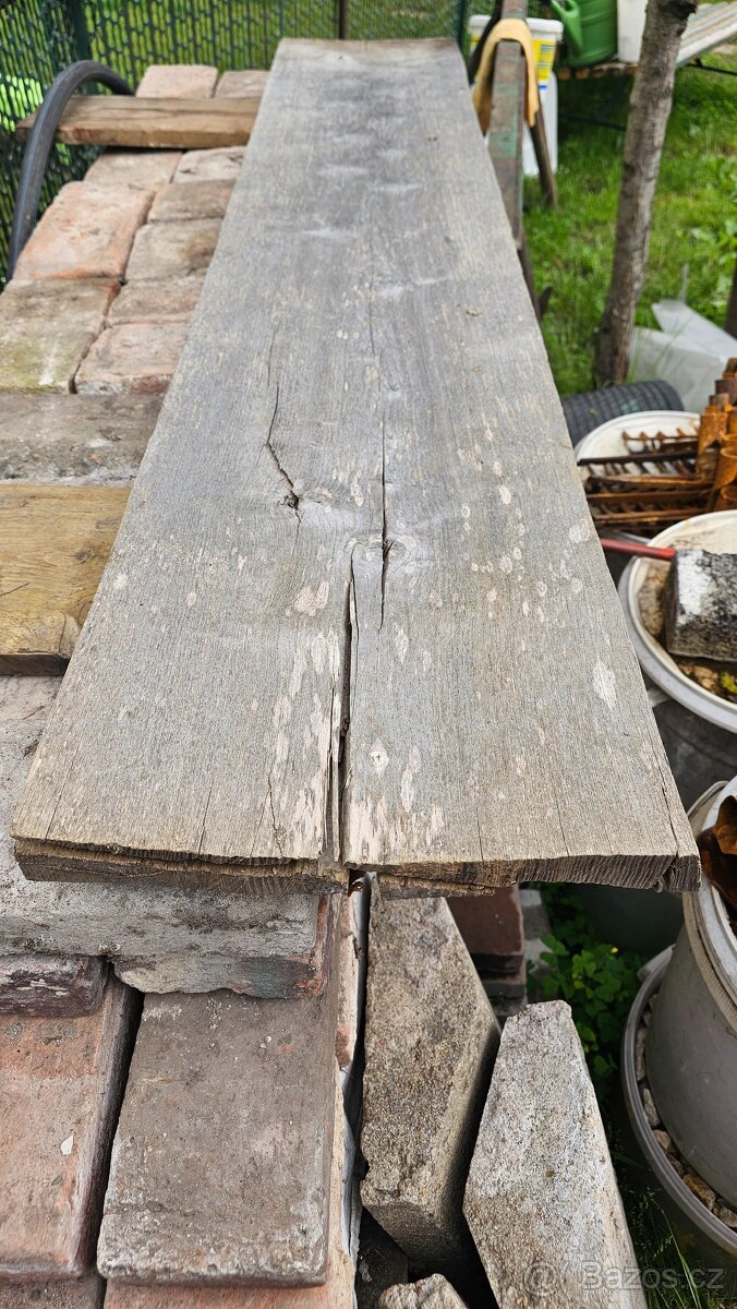 Fošna dubová či buková - 2