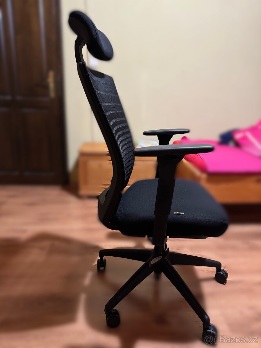 AlzaErgo Chair Horizon 1 černá - 2