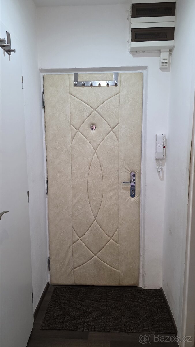 Protipožární a bezpečnostní dveře - panelákové - 2