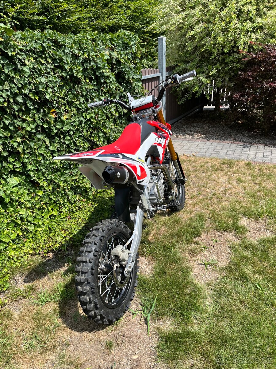 WPB Beast 190 - 2