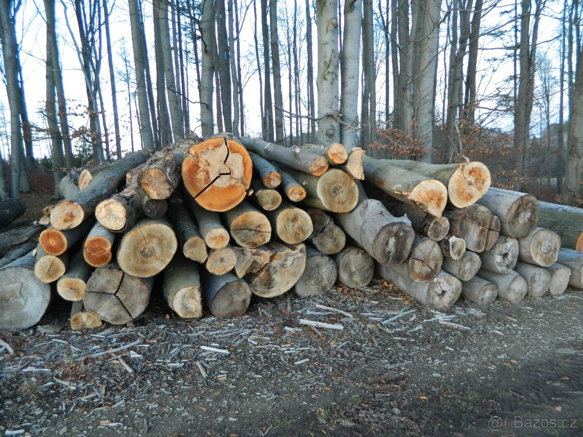 Palivové dřevo tvrdé - 2