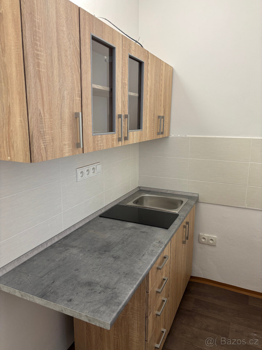 Pronájem družstevního bytu - 2