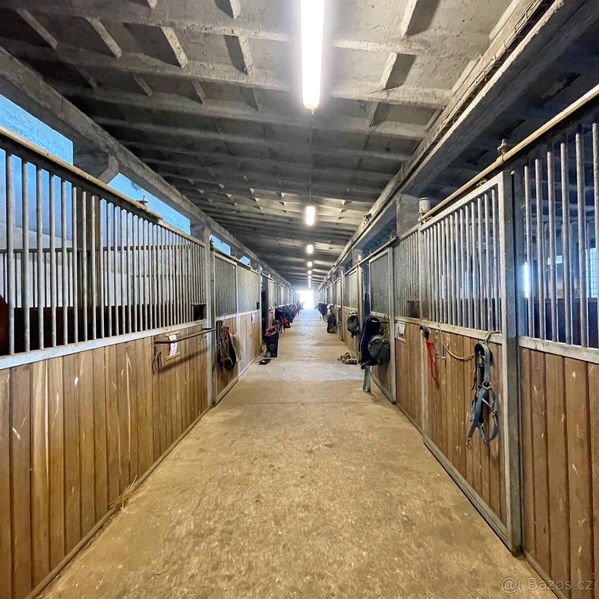 Jezdecký areál Eden – ustájení koní - 2