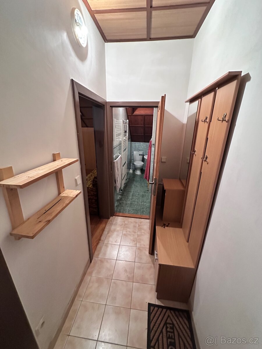 Pronájem 1+1 - 2