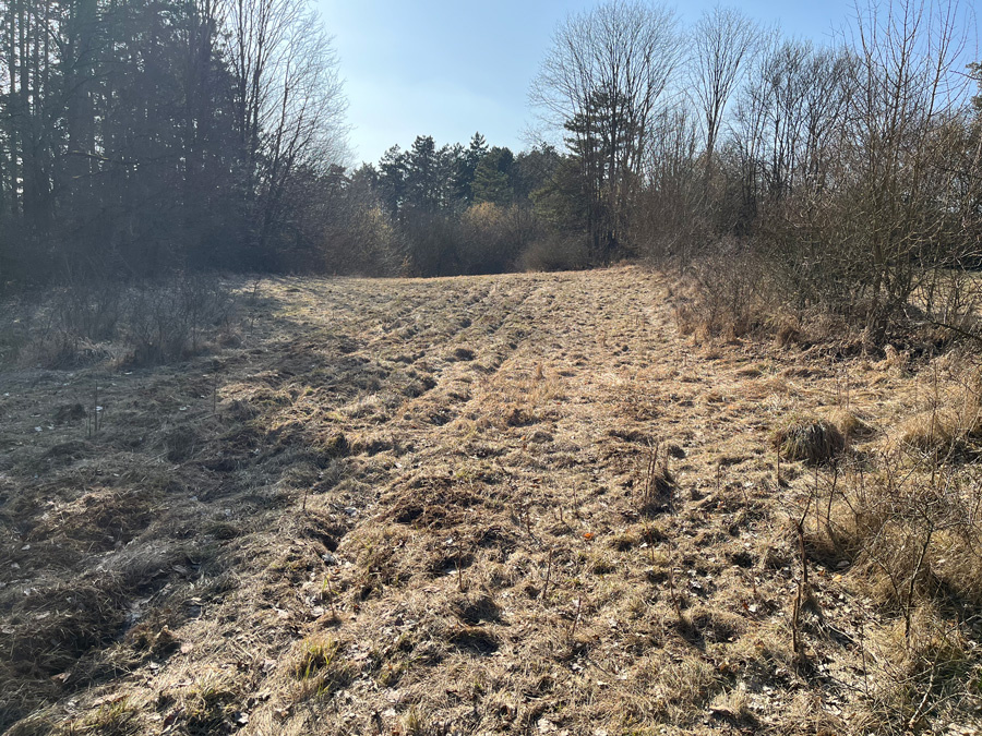 Orná půda Lažánky - 2