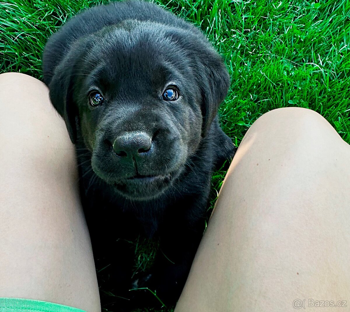 NEZAPOMENUTELNÝ ZÁŽITEK SE ŠTĚŇÁTKY - 2