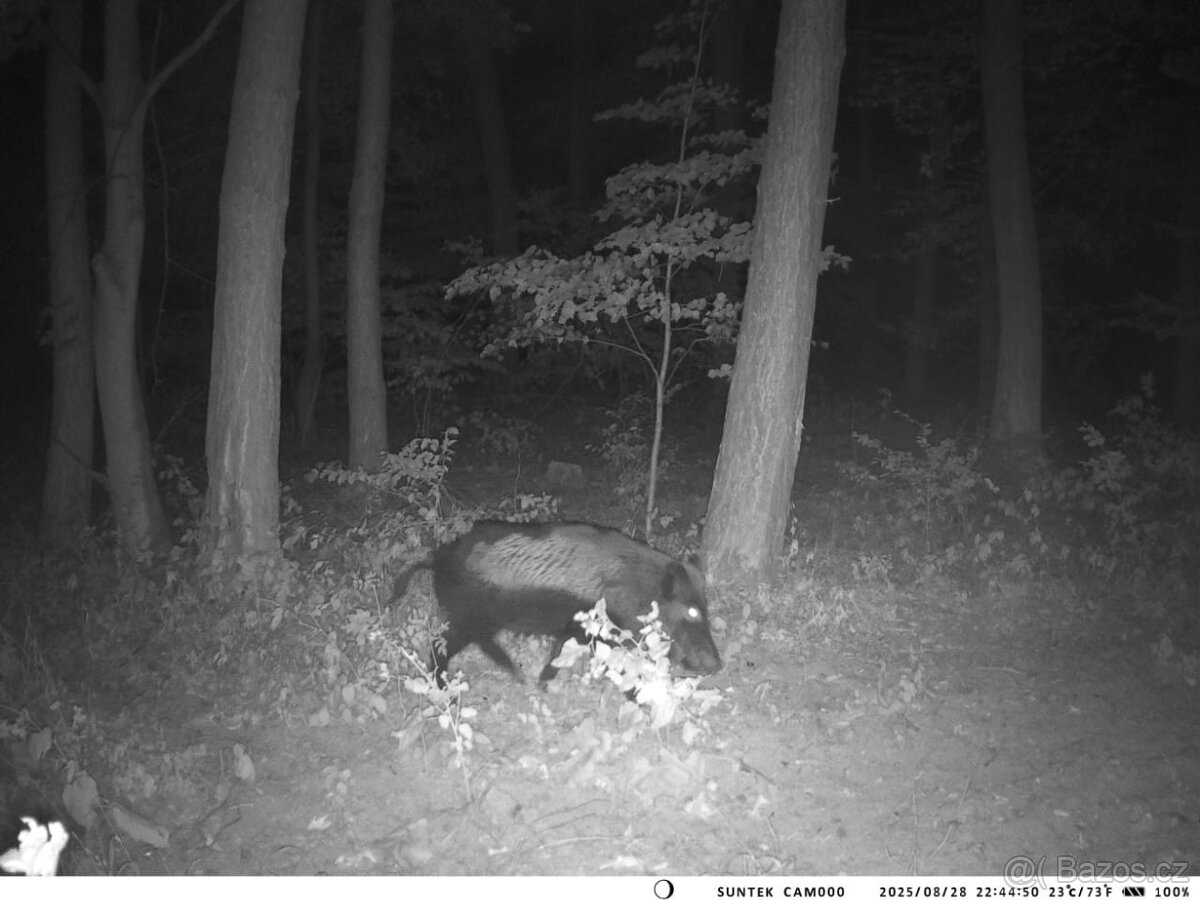 Fotopast HC 940Pro - Lithova baterie, LIVE - 2