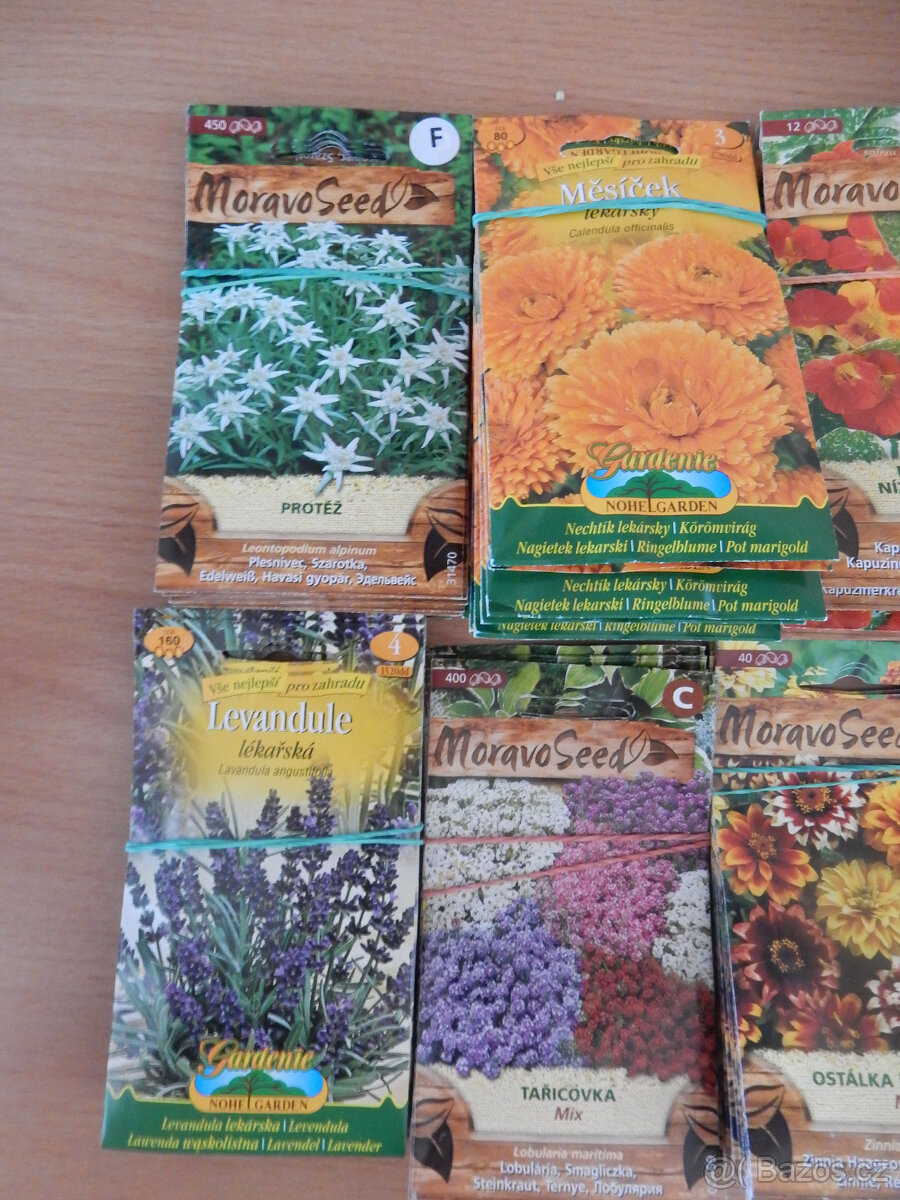 Semínka květin různé druhy Moravoseed Nohel Garden - 2