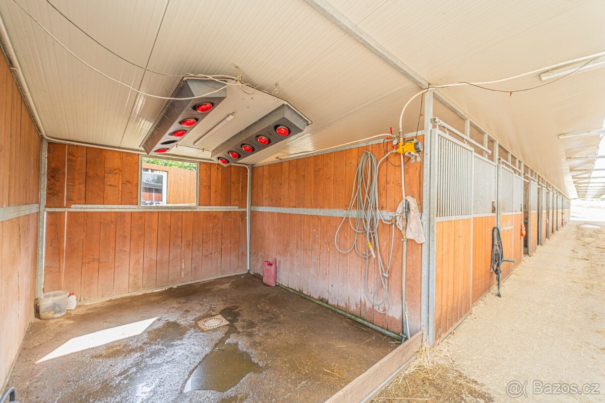 Ustájení koní – Telce u Peruce - 2