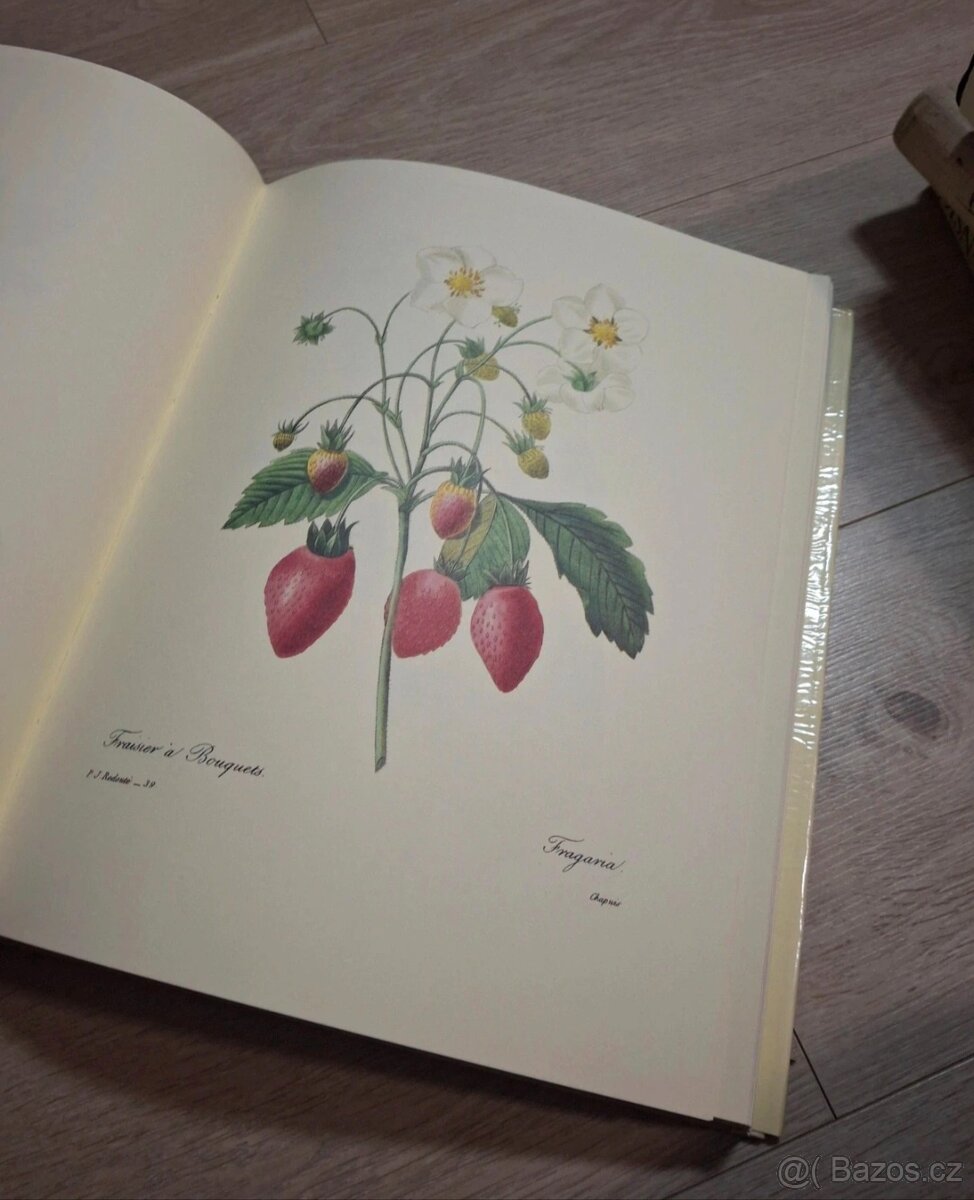 Redouté's Most Beautiful Flowers - 2