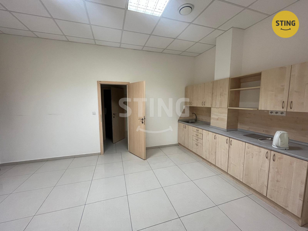 Pronájem komerčního prostoru 244 m2. , 134871 - 2
