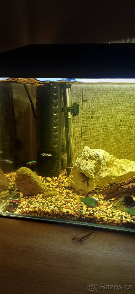 Zařízené akvárium - 2