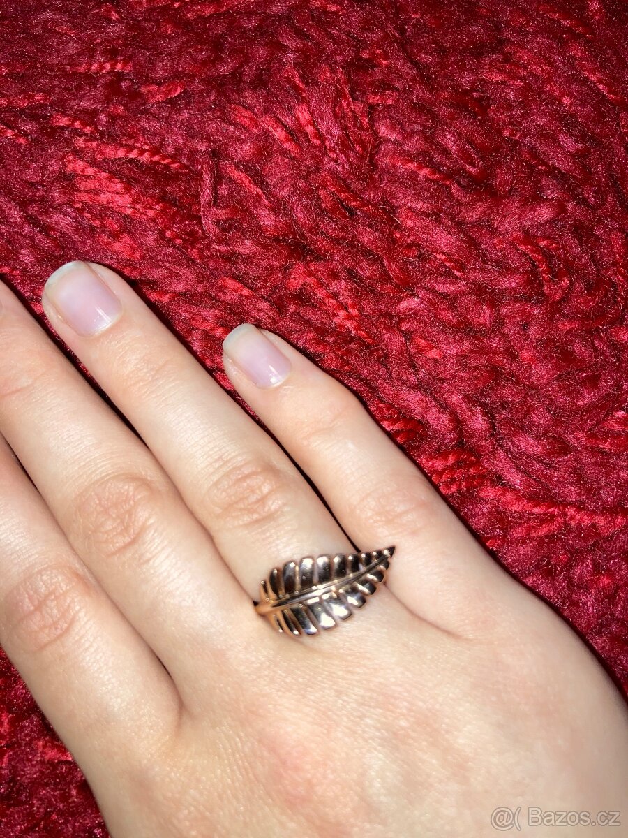 Prsten RSG Pierre Lang - 2