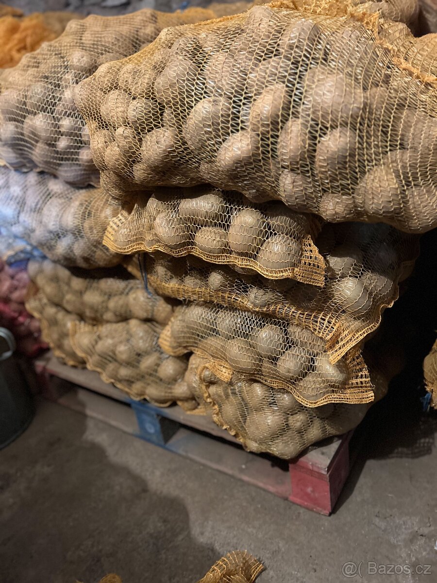 Prodej konzumních brambor - 2