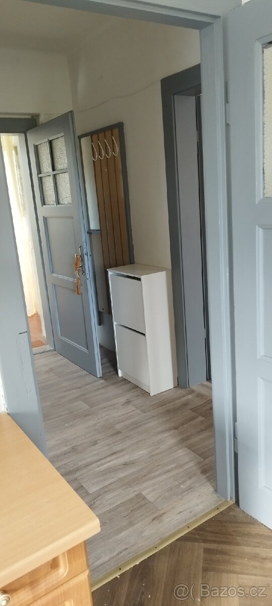 Pronájem bytu - 2
