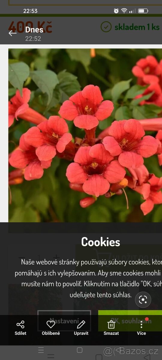 Ostružina ,trubač,vistárie,bobkovišeň - 2