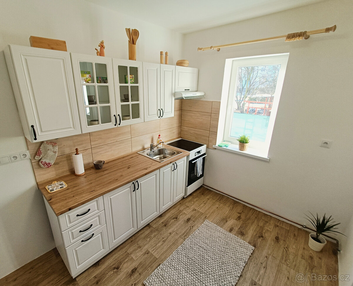 Pronájem bytu 2+1 se zahradou - 2