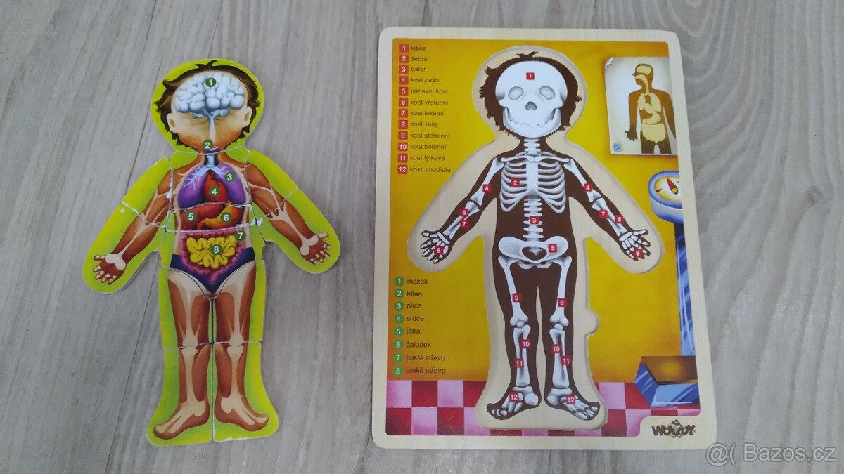 skladacka lidske telo - 2